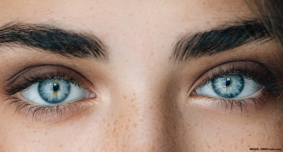 Blue eyes and dark hair: tips for enhancing your natural beauty - wide 2