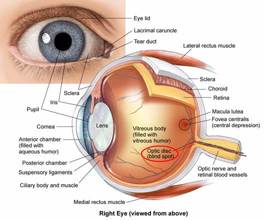 Optometrist Eye Chart